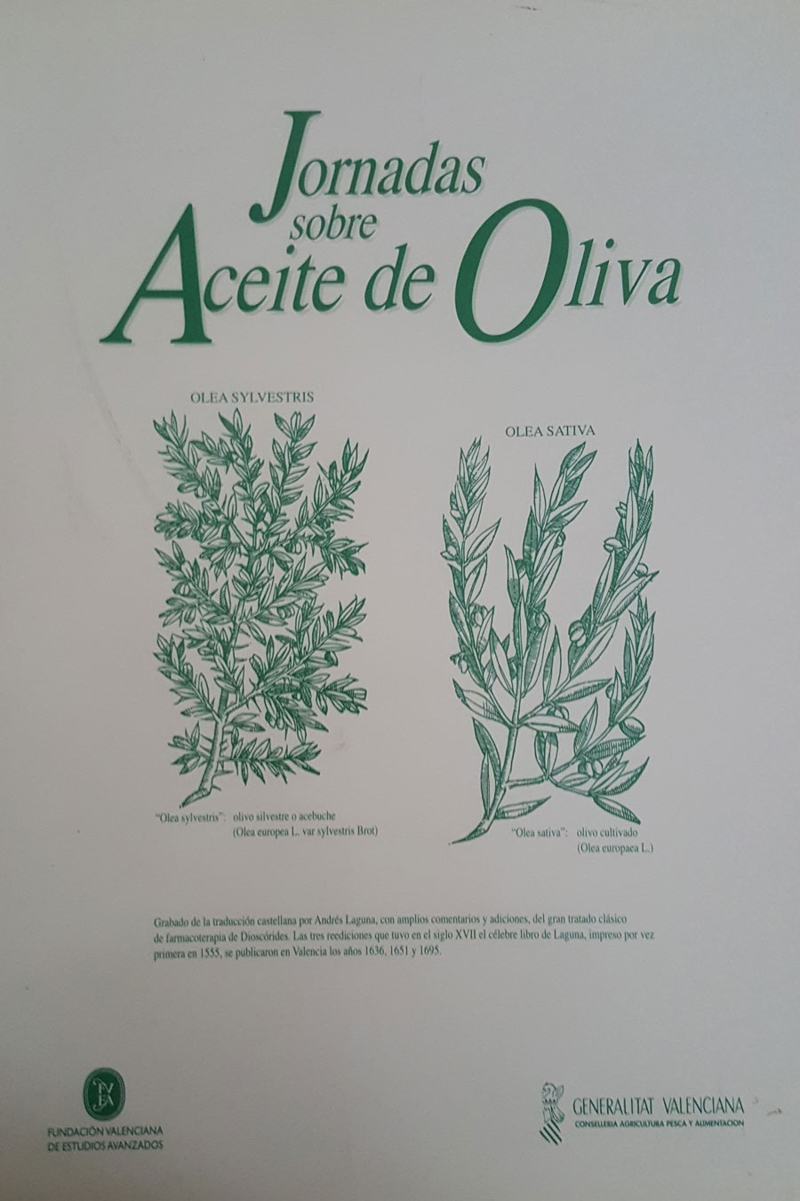 Cap. “Tecnología de Proceso”. Jornadas sobre aceite de oliva. Funcación Valenciana de estudios avanzados. 2002.