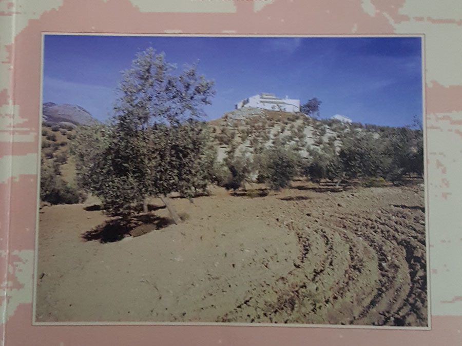 Cap. “Influencia de la variedad y del medio agrológico en la calidad del aceite de oliva virgen”. La reforma de la OCM y el futuro del olivar. Publicaciones de la Universidad de Jaén. 1997.
