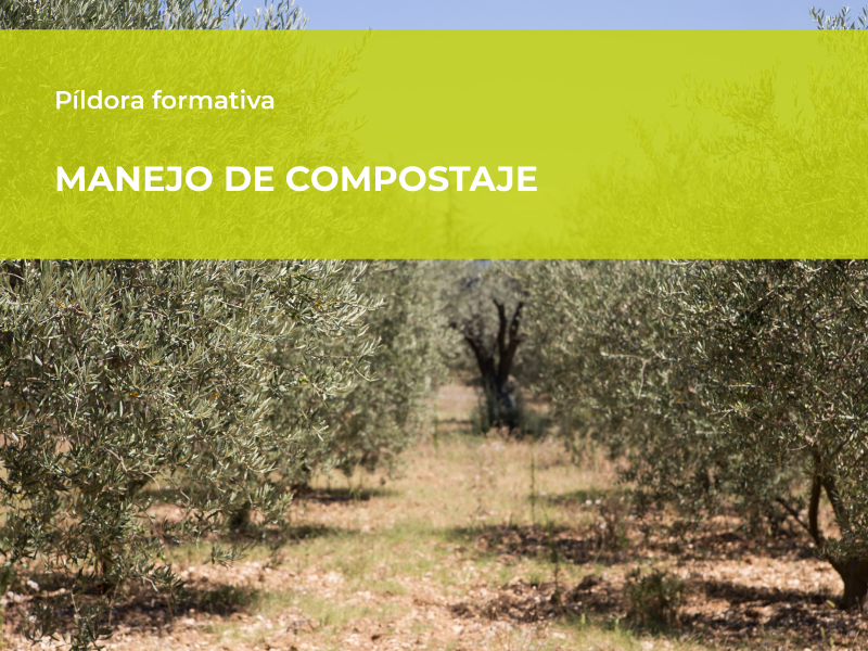 IADA Ingenieros participa en la charla formativa «Manejo de Compostaje»