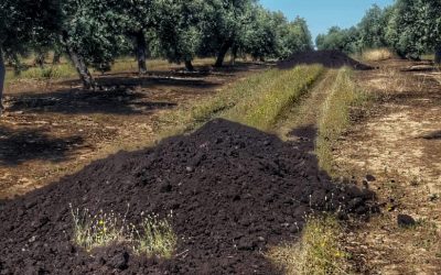 Compost de orujo: de residuo a subproducto