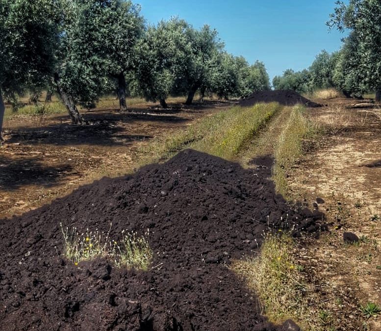Compost de orujo: de residuo a subproducto