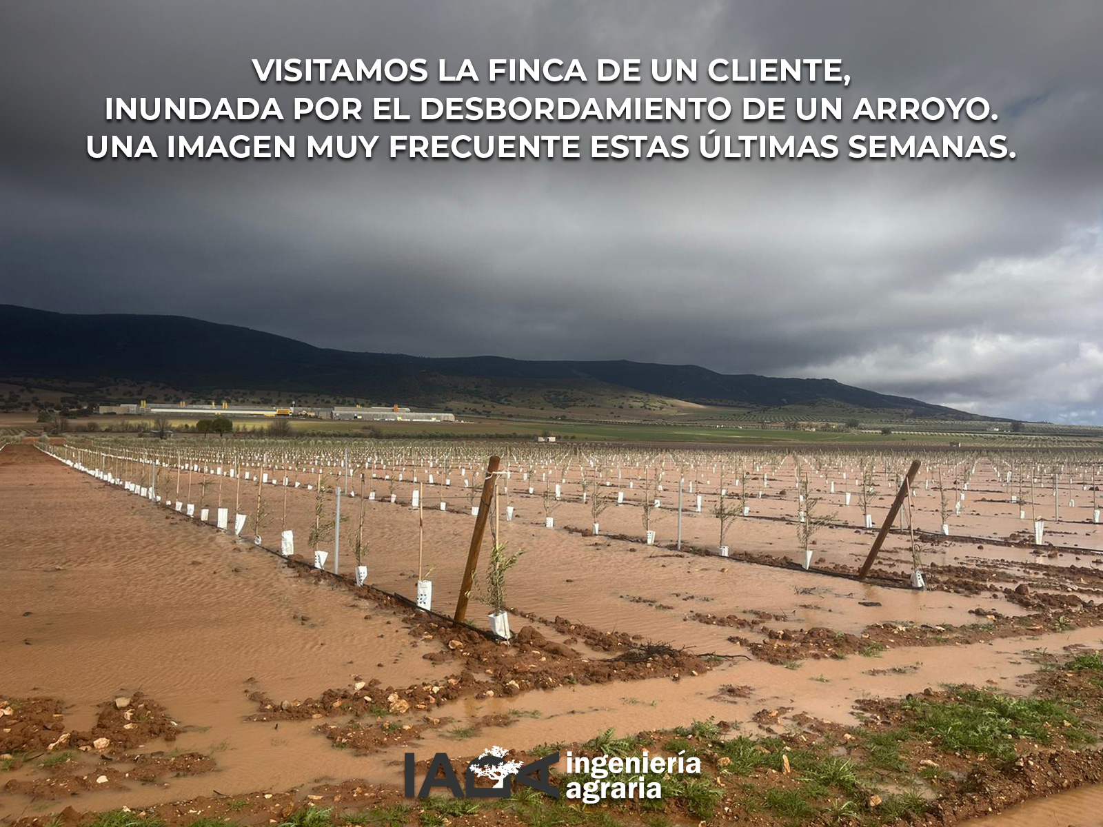 Visitamos la finca de un cliente, inundada tras el desbordamiento de un arroyo.